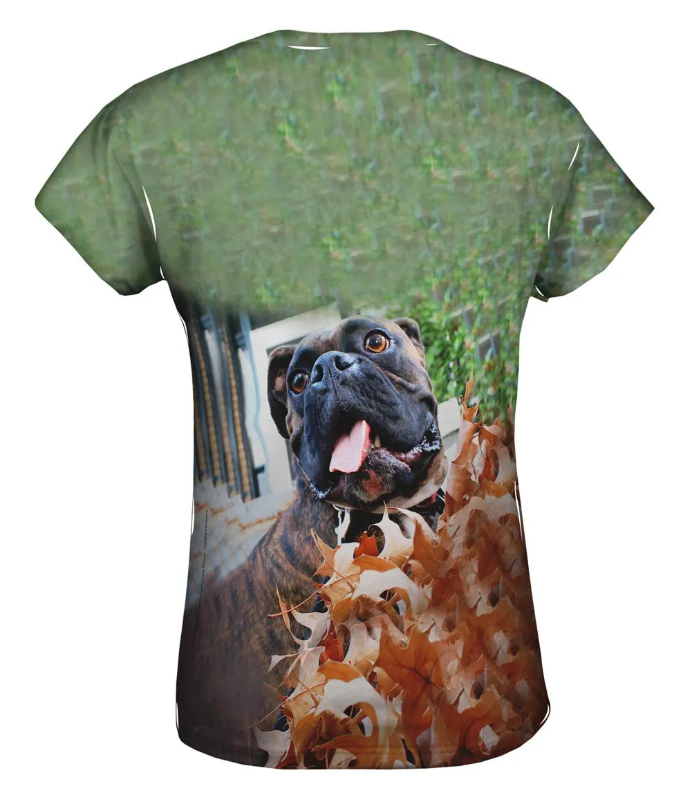 Autumn Leaves Boxer