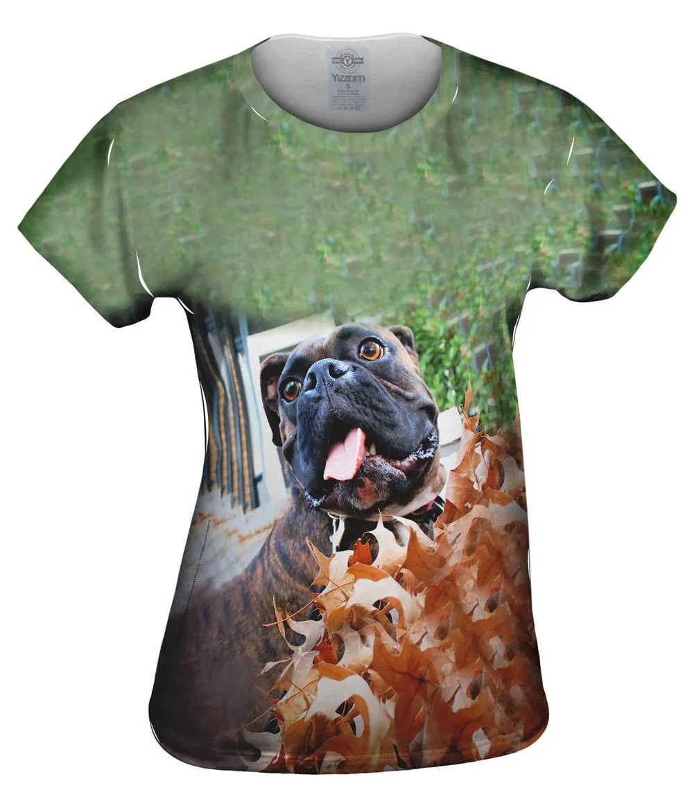 Autumn Leaves Boxer