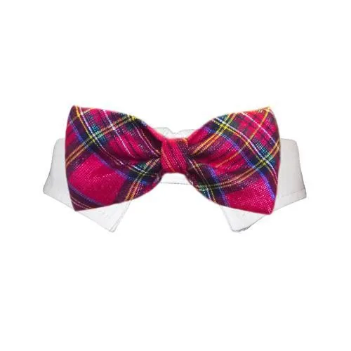 December Dog Bow Tie Collar