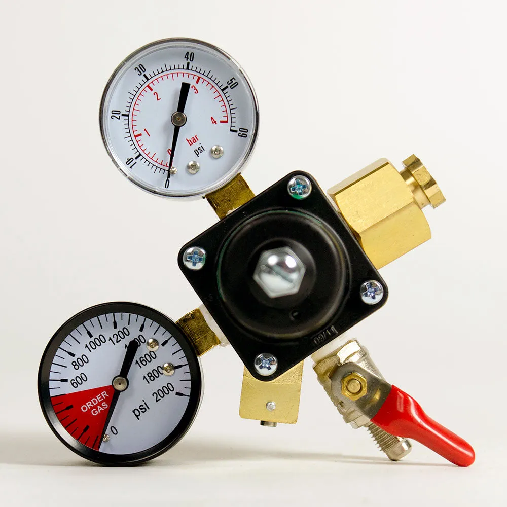 Dual Gauge CO2 Regulator