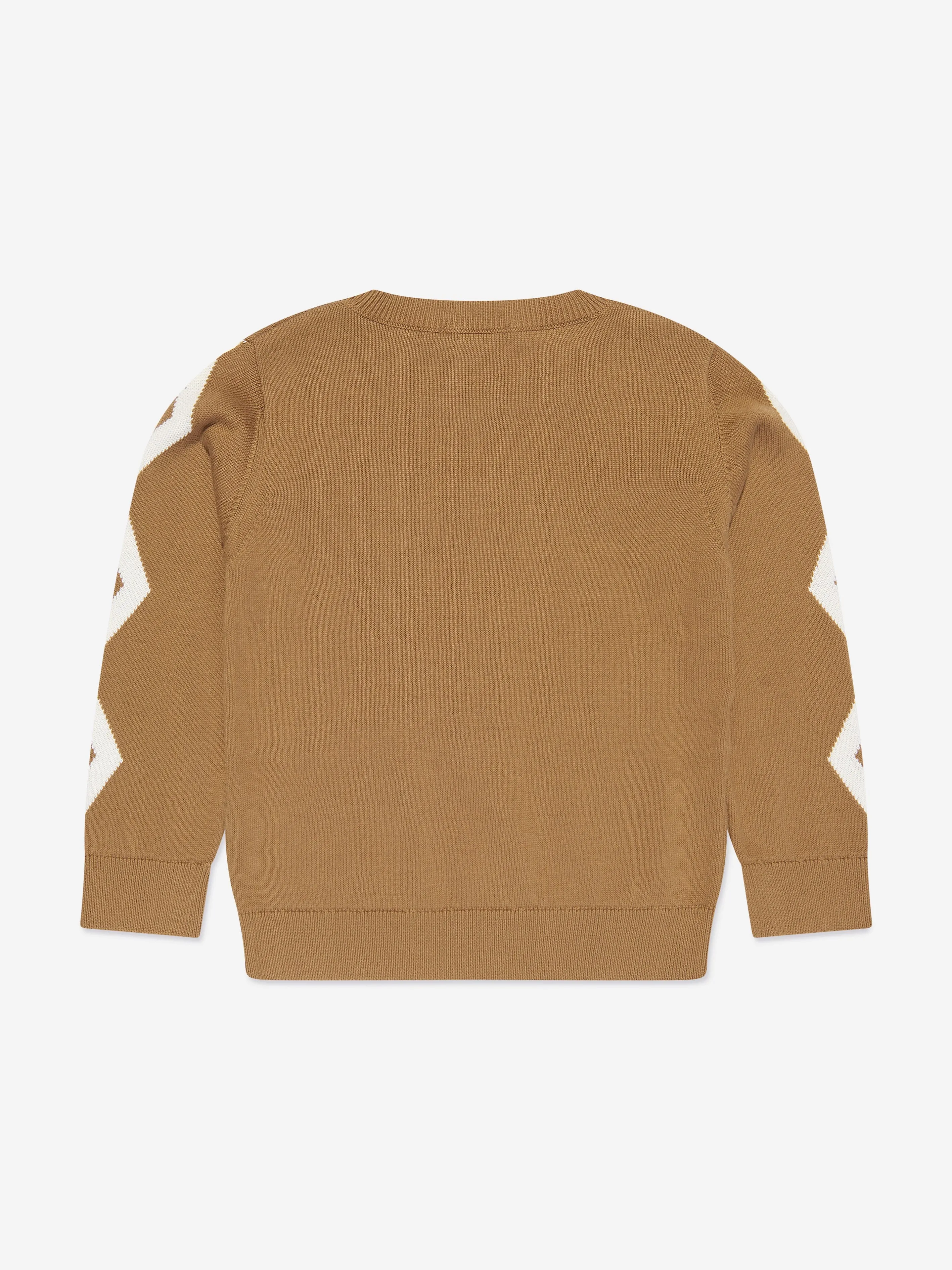 Stella McCartney Boys Knitted Jumper in Brown